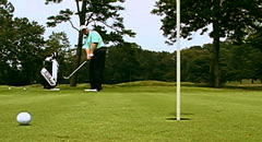 Golf Swing Chip Shot